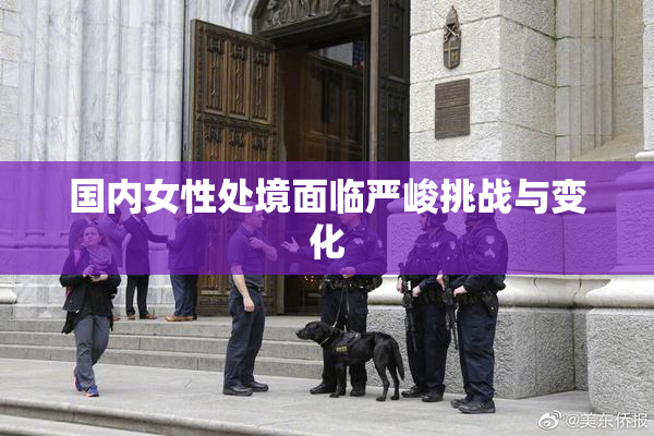 国内女性处境面临严峻挑战与变化
