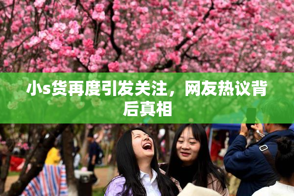 小s货再度引发关注，网友热议背后真相
