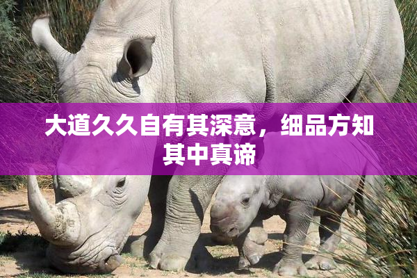 大道久久自有其深意，细品方知其中真谛
