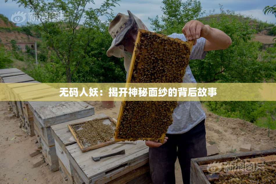 无码人妖：揭开神秘面纱的背后故事