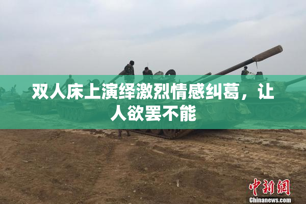 双人床上演绎激烈情感纠葛，让人欲罢不能