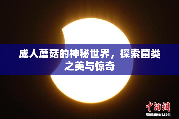 成人蘑菇的神秘世界，探索菌类之美与惊奇