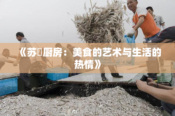 《苏玥厨房：美食的艺术与生活的热情》