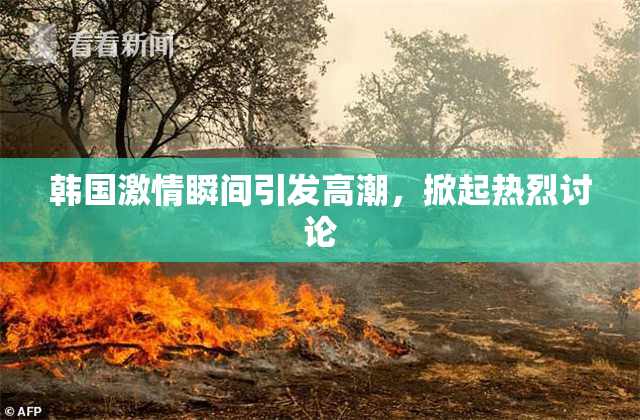 韩国激情瞬间引发高潮，掀起热烈讨论
