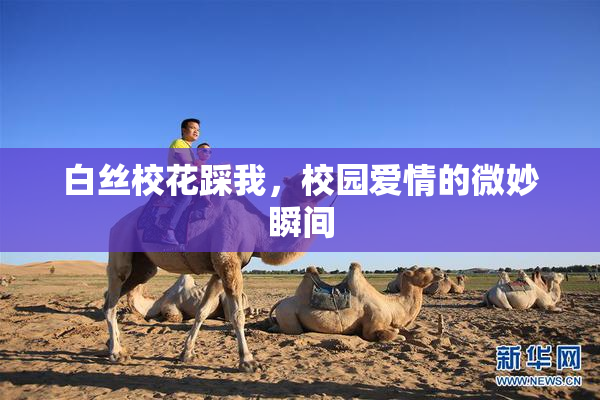 白丝校花踩我，校园爱情的微妙瞬间