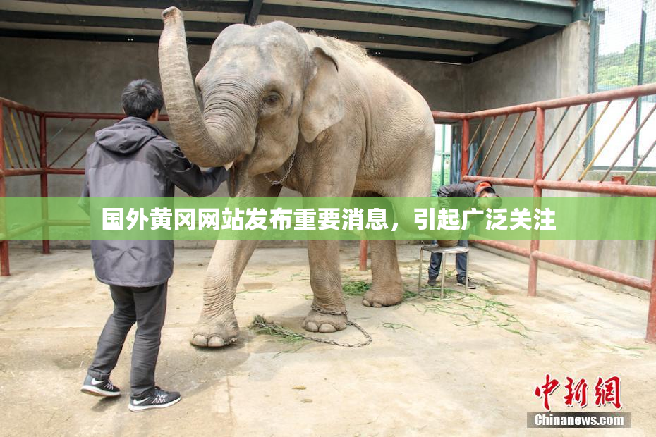 国外黄冈网站发布重要消息，引起广泛关注
