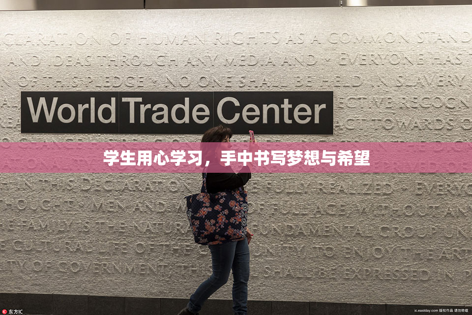 学生用心学习，手中书写梦想与希望