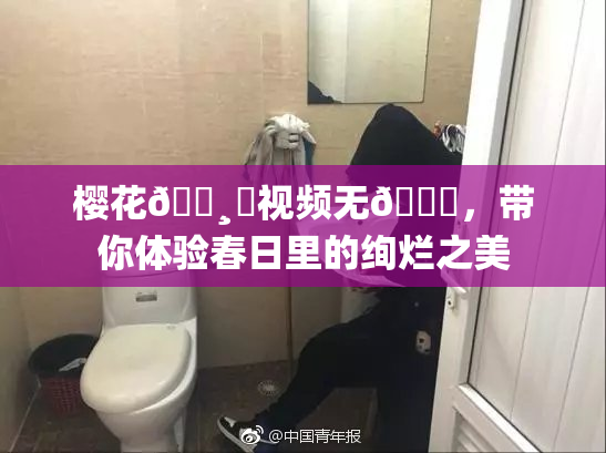 樱花🌸‌视频无🈚，带你体验春日里的绚烂之美