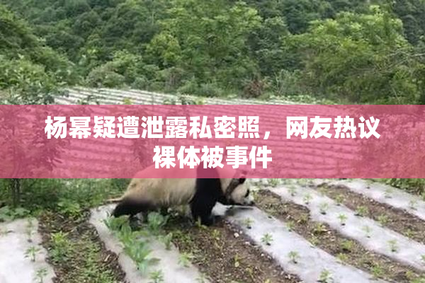 杨幂疑遭泄露私密照，网友热议裸体被事件