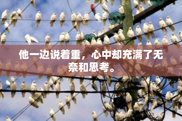 他一边说着重，心中却充满了无奈和思考。