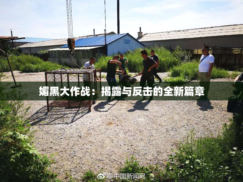 媚黑大作战：揭露与反击的全新篇章