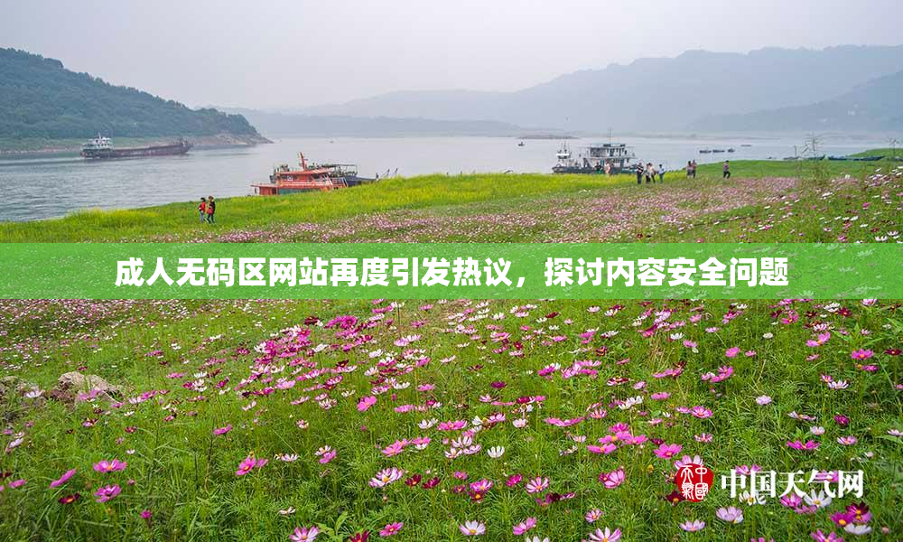 成人无码区网站再度引发热议，探讨内容安全问题