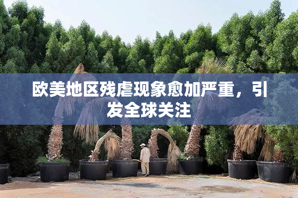 欧美地区残虐现象愈加严重，引发全球关注