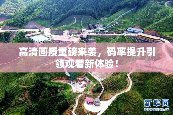 高清画质重磅来袭，码率提升引领观看新体验！
