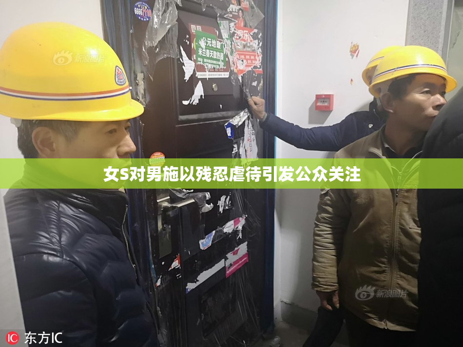 女S对男施以残忍虐待引发公众关注