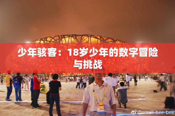 少年骇客：18岁少年的数字冒险与挑战