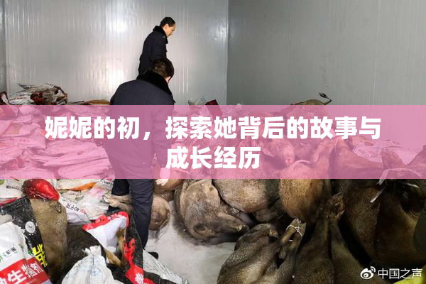 妮妮的初，探索她背后的故事与成长经历