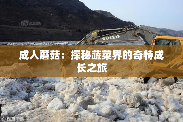 成人蘑菇：探秘蔬菜界的奇特成长之旅