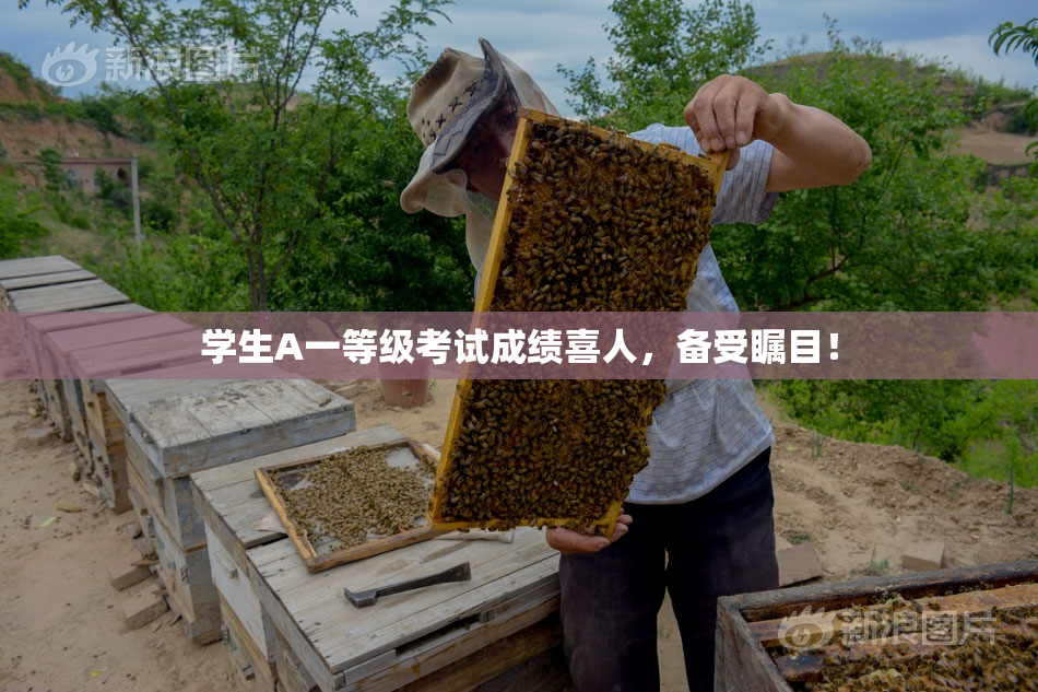学生A一等级考试成绩喜人，备受瞩目！