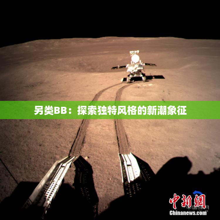 另类BB：探索独特风格的新潮象征
