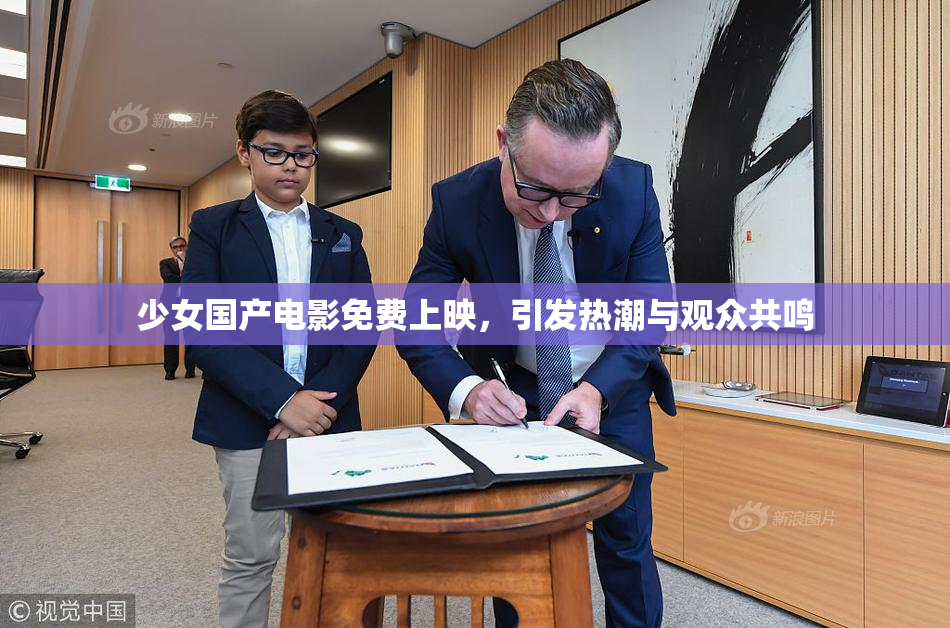 少女国产电影免费上映，引发热潮与观众共鸣