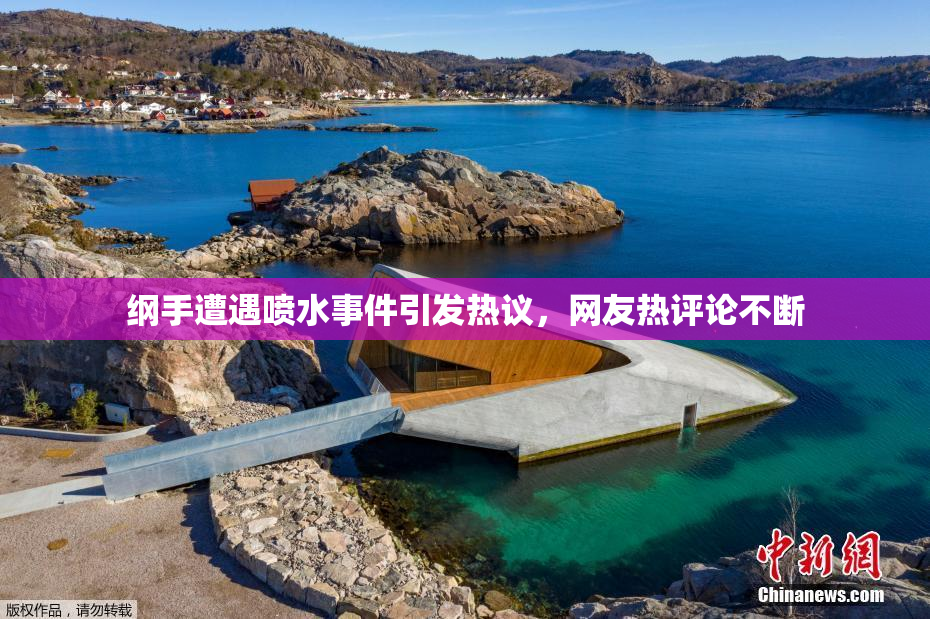 纲手遭遇喷水事件引发热议，网友热评论不断