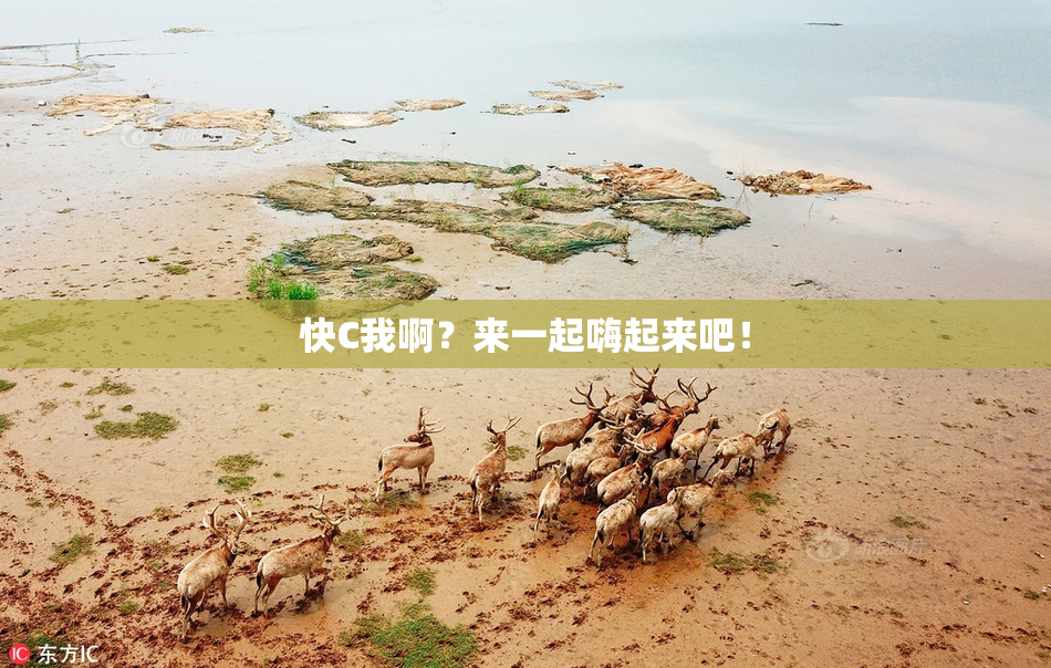 快C我啊？来一起嗨起来吧！
