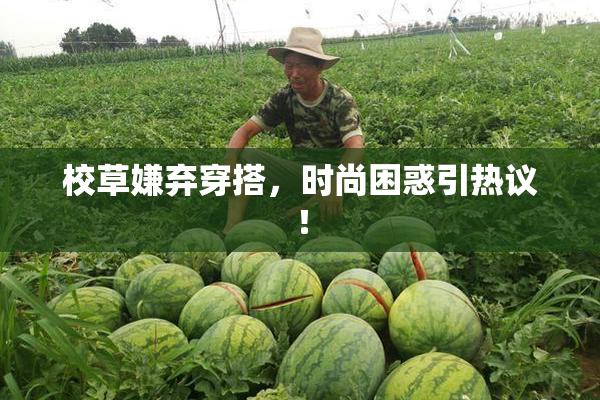校草嫌弃穿搭，时尚困惑引热议！