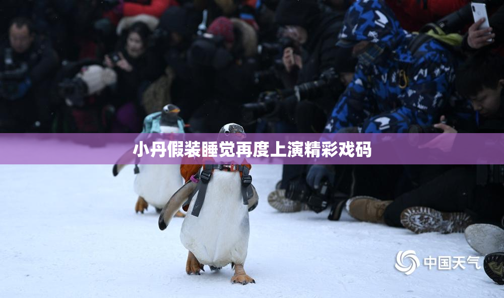 小丹假装睡觉再度上演精彩戏码