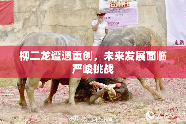 柳二龙遭遇重创，未来发展面临严峻挑战