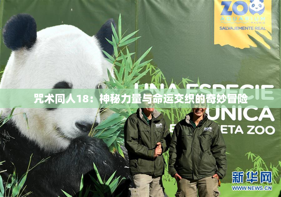 咒术同人18：神秘力量与命运交织的奇妙冒险