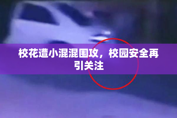 校花遭小混混围攻，校园安全再引关注