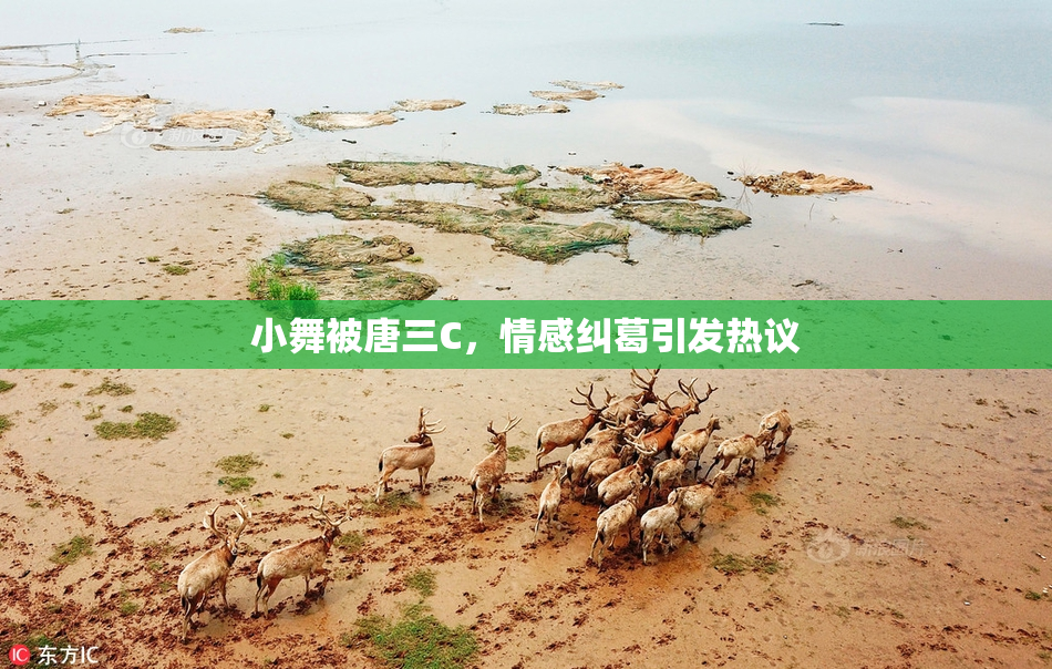 小舞被唐三C，情感纠葛引发热议
