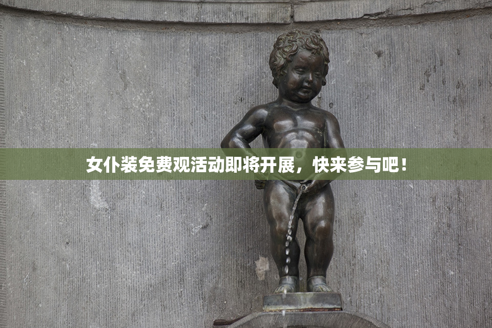 女仆装免费观活动即将开展，快来参与吧！