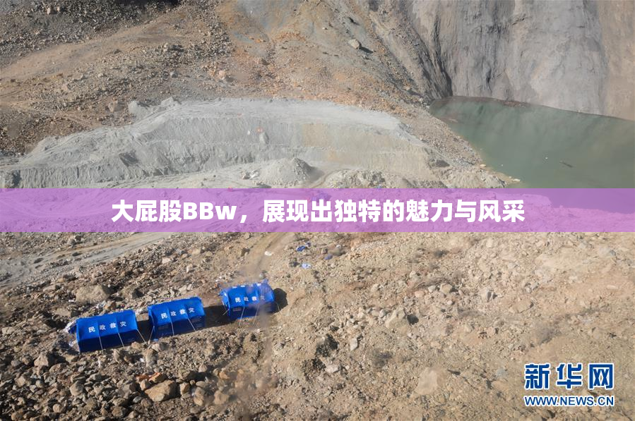 大屁股BBw，展现出独特的魅力与风采