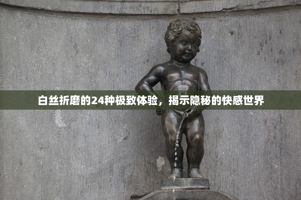 白丝折磨的24种极致体验，揭示隐秘的快感世界