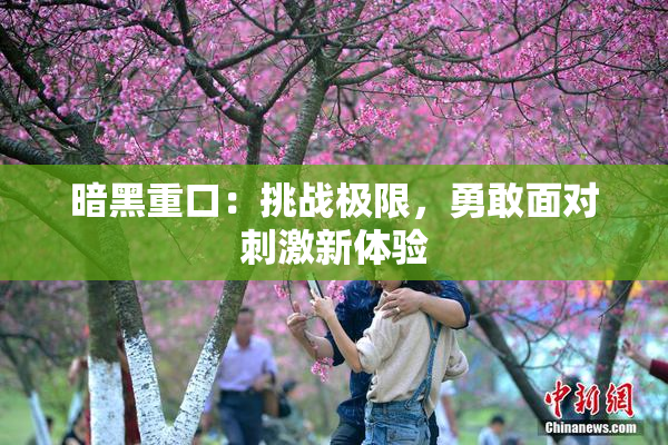 暗黑重口：挑战极限，勇敢面对刺激新体验