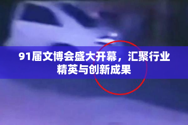 91届文博会盛大开幕，汇聚行业精英与创新成果