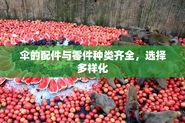 伞的配件与零件种类齐全，选择多样化