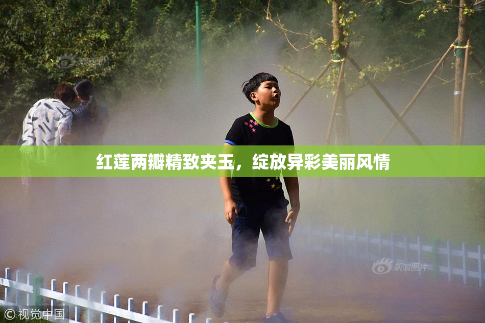 红莲两瓣精致夹玉，绽放异彩美丽风情
