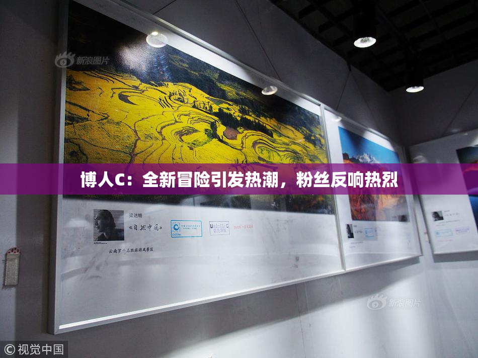 博人C：全新冒险引发热潮，粉丝反响热烈