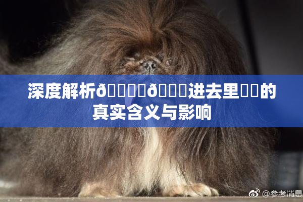 深度解析🔞‌🍌进去里❌‌的真实含义与影响