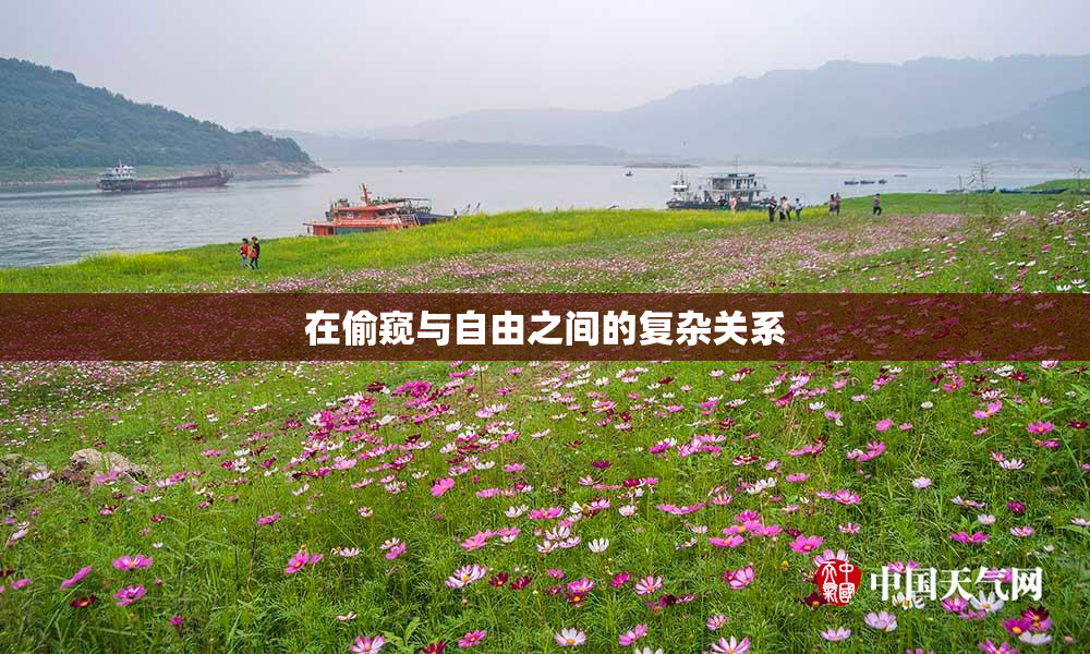 在偷窥与自由之间的复杂关系