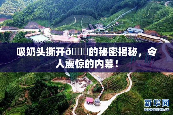 吸奶头撕开👙的秘密揭秘，令人震惊的内幕！