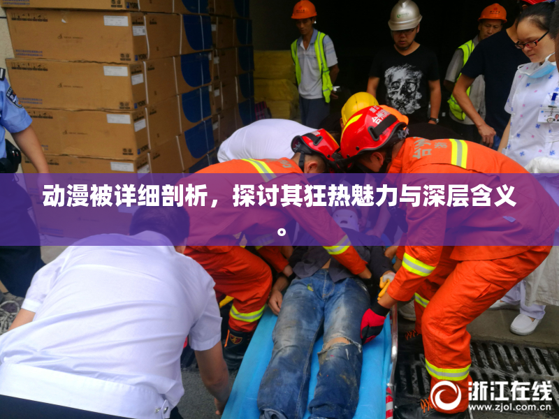 动漫被详细剖析，探讨其狂热魅力与深层含义。