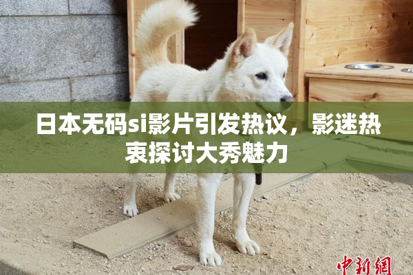 日本无码si影片引发热议，影迷热衷探讨大秀魅力