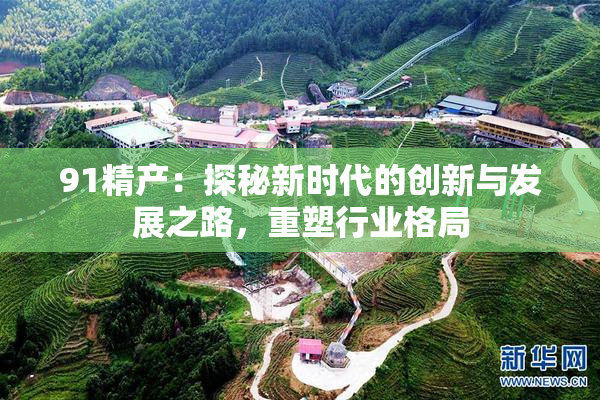 91精产：探秘新时代的创新与发展之路，重塑行业格局