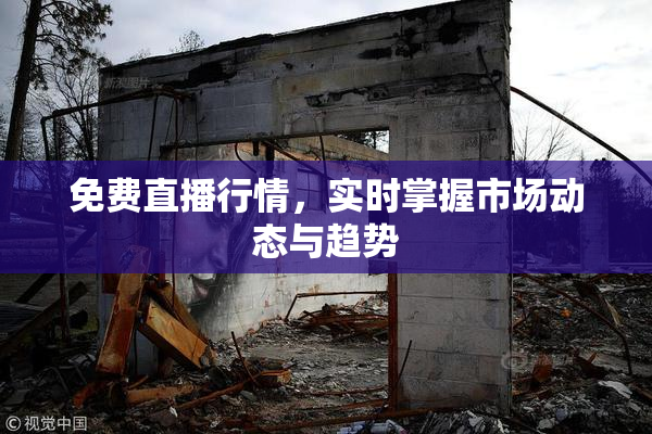 免费直播行情，实时掌握市场动态与趋势