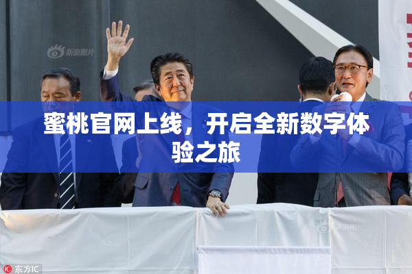 蜜桃官网上线，开启全新数字体验之旅