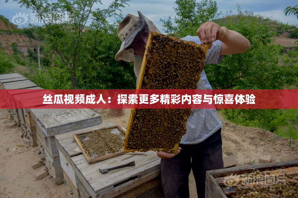 丝瓜视频成人：探索更多精彩内容与惊喜体验